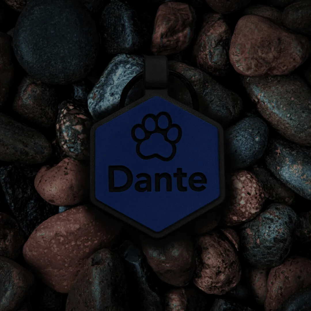 Midnight Collection Silicone Dog ID Tag