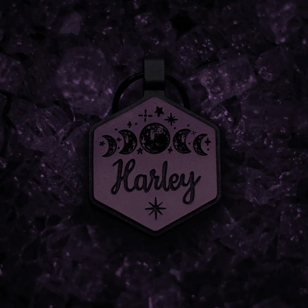 Midnight Collection Silicone Dog ID Tag