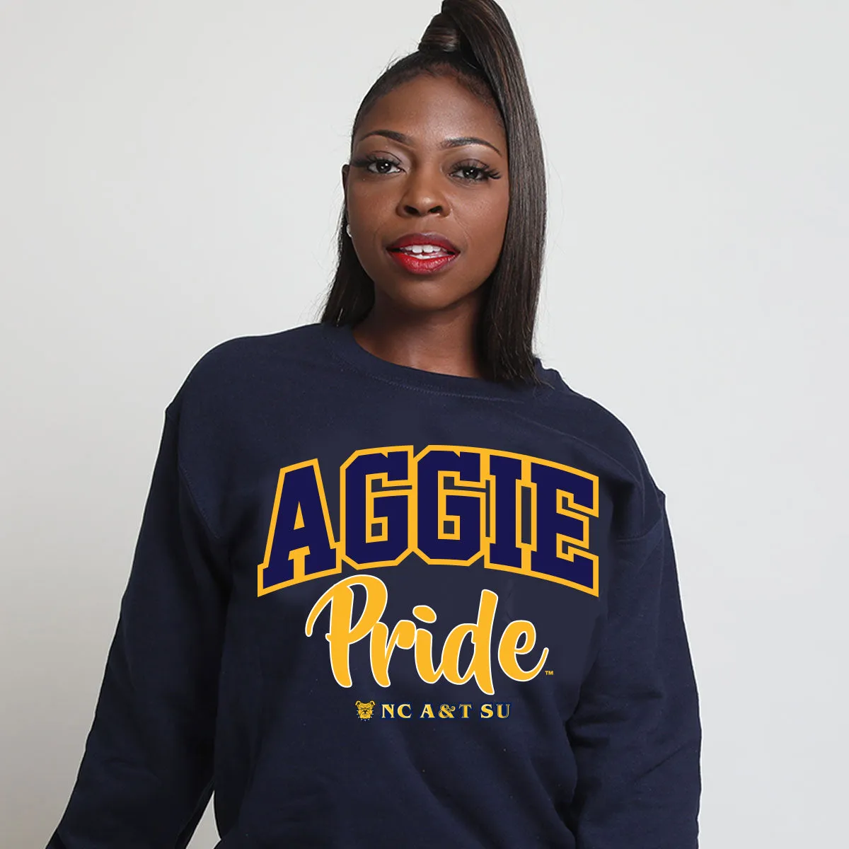 NC A&T AGGIES | PRIDE ARCH Unisex Sweatshirt -DK-