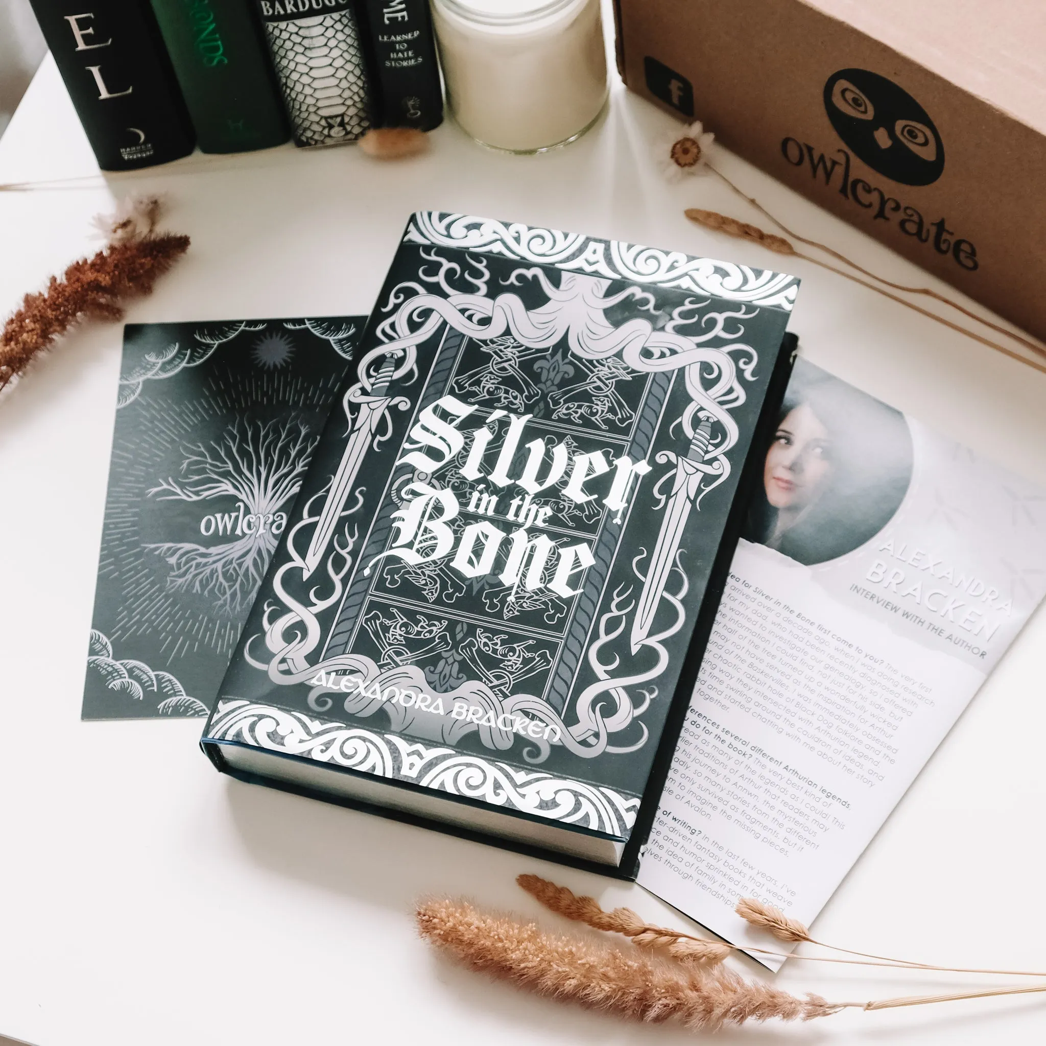 OwlCrate 'RELICS & RUINS' Box