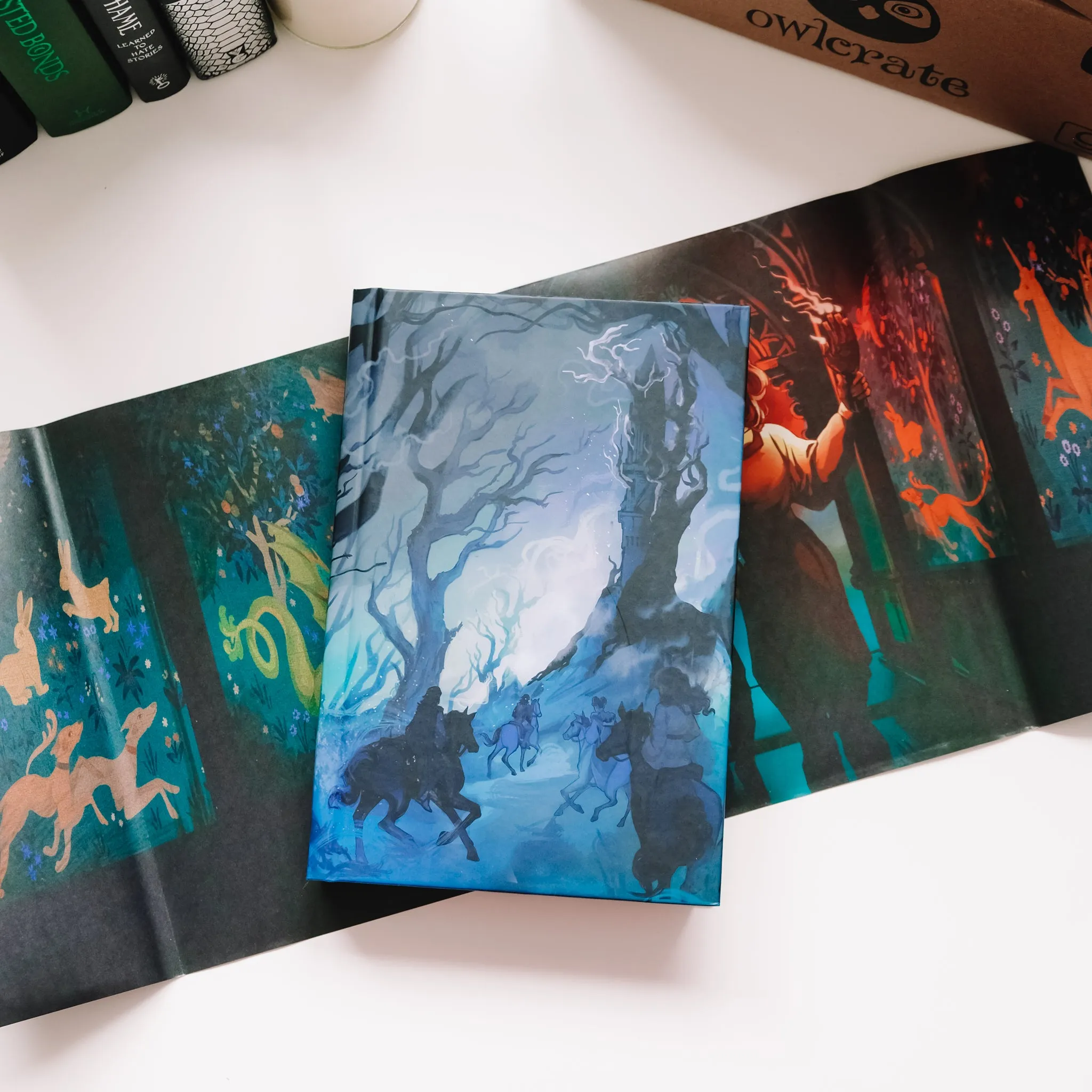 OwlCrate 'RELICS & RUINS' Box