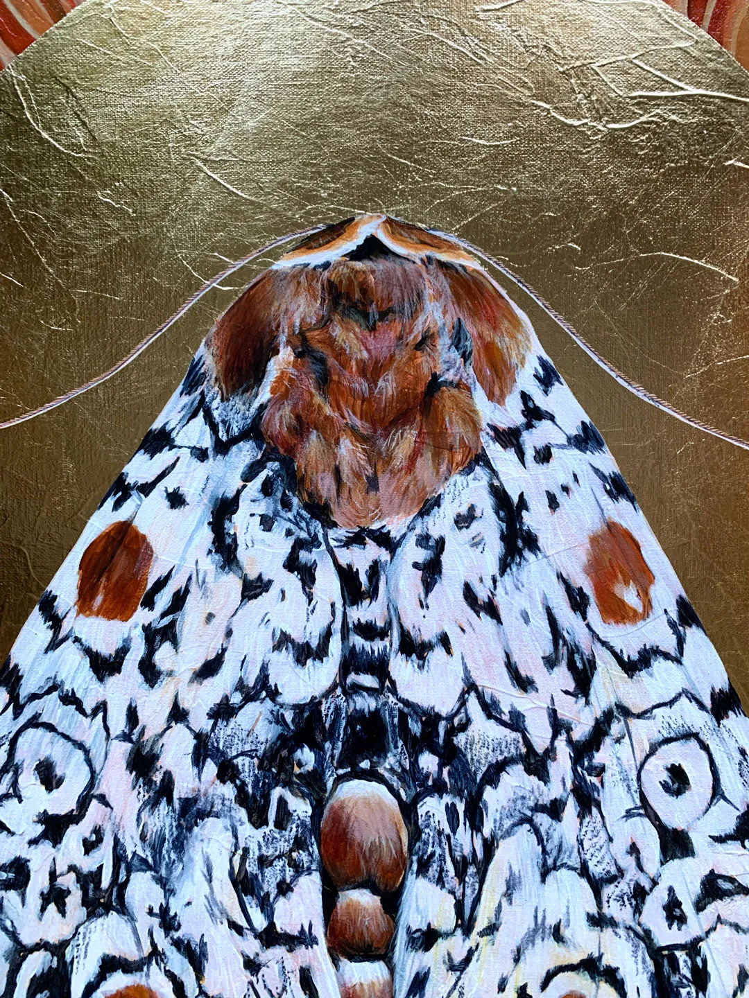 "Everything" Harris Three Spot Moth Painting 20x24