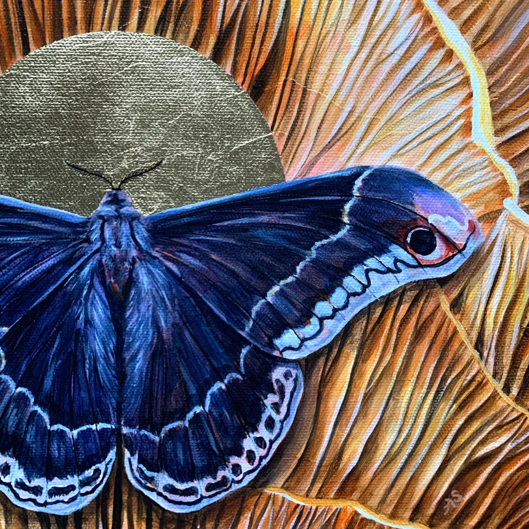 "Integrity" Promethea Moth Painting 14x11