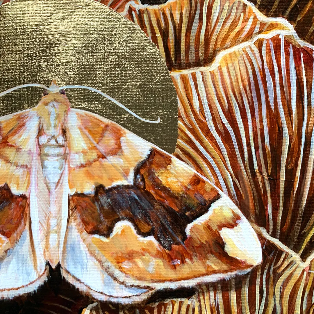 "Kinship" Barred Yellow Moth Painting 10x8