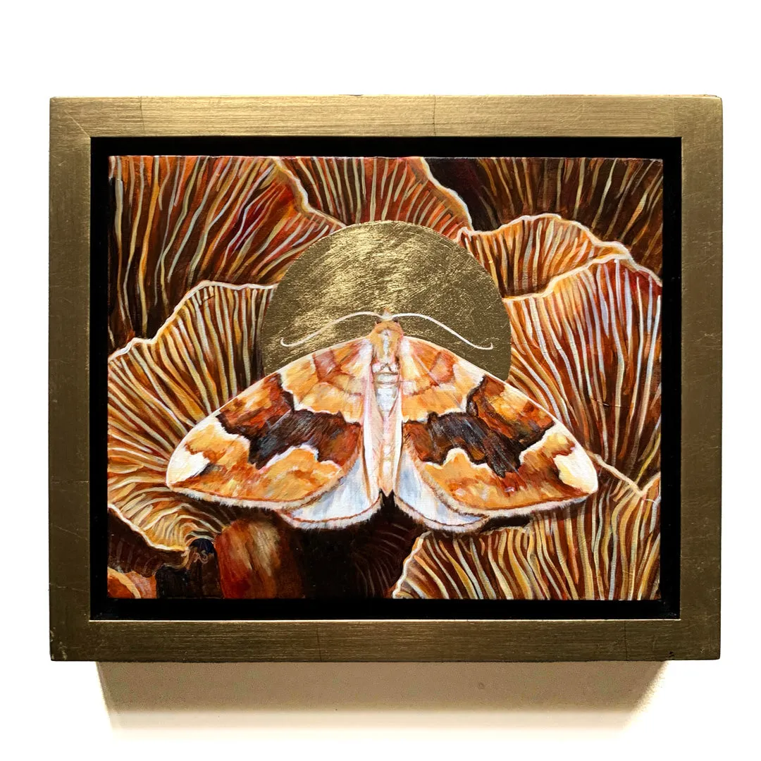 "Kinship" Barred Yellow Moth Painting 10x8