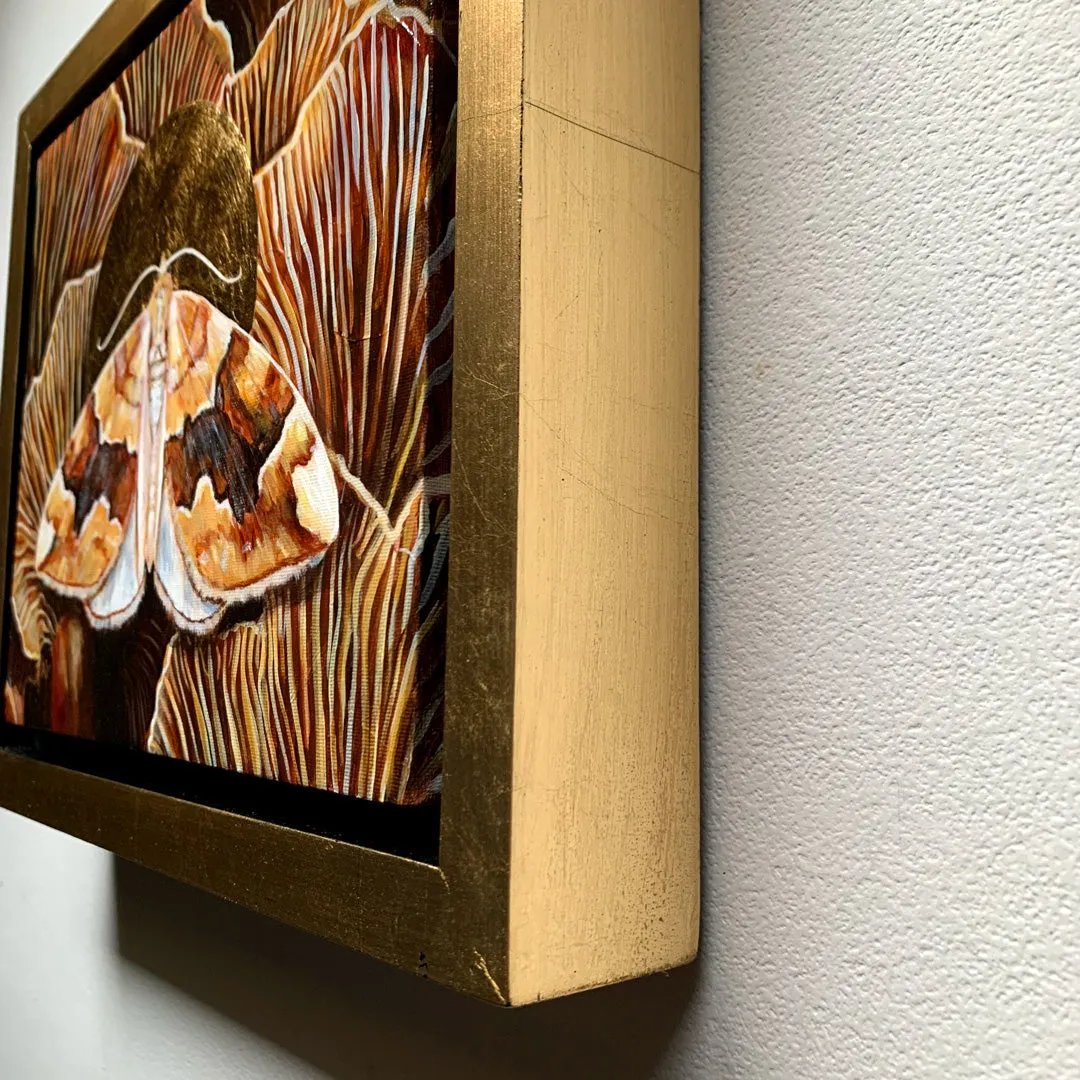 "Kinship" Barred Yellow Moth Painting 10x8