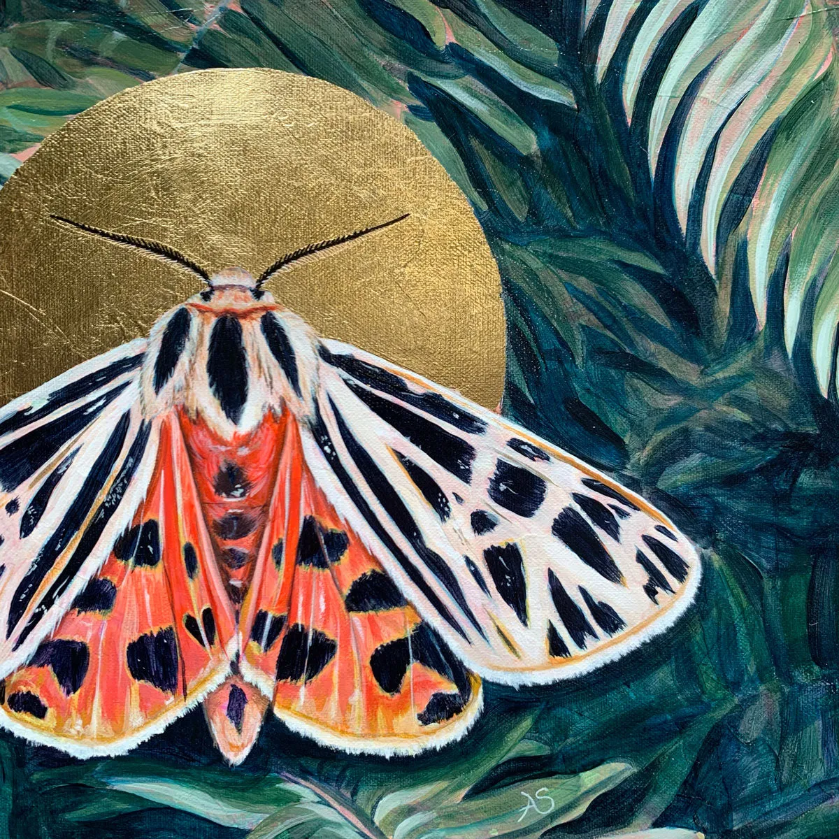 "Unfixed" Virgin Tiger Moth Painting 11x14