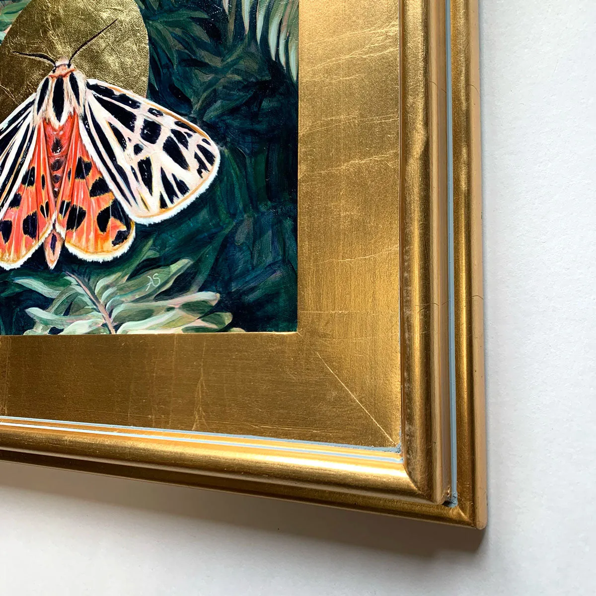 "Unfixed" Virgin Tiger Moth Painting 11x14