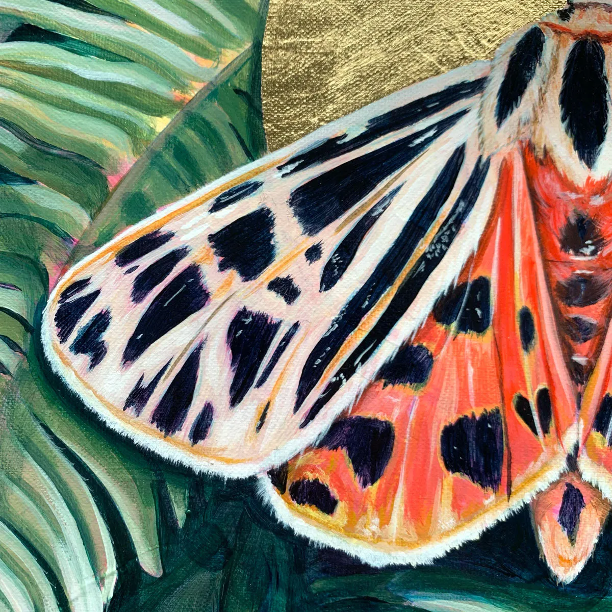 "Unfixed" Virgin Tiger Moth Painting 11x14