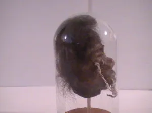 Shrunken Heads: Revenge of the Shuar