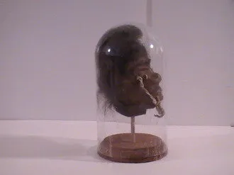 Shrunken Heads: Revenge of the Shuar