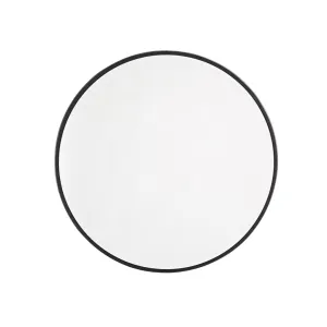 Trace Mirror